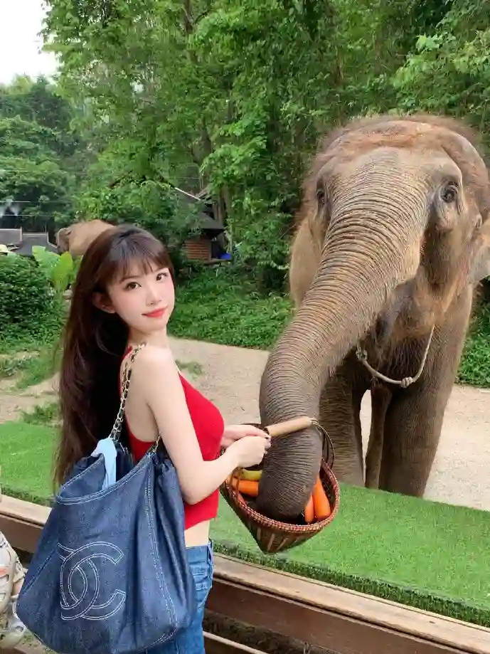 直播行业数据分析